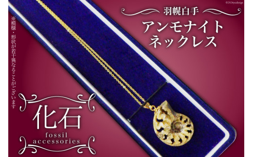 Amazon.co.jp: 女性の天然アンモナイト化石ペンダントネックレス