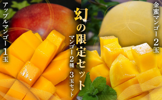 マンゴポポーMango Powpow幻の果物3点セット