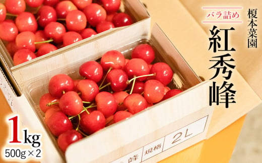 令和7年産先行予約】 さくらんぼ 紅秀峰 バラ詰め 1kg(500g×2) 山形県 鶴岡市産 榎本菜園 K-763 - 山形県鶴岡市｜ふるさとチョイス  - ふるさと納税サイト