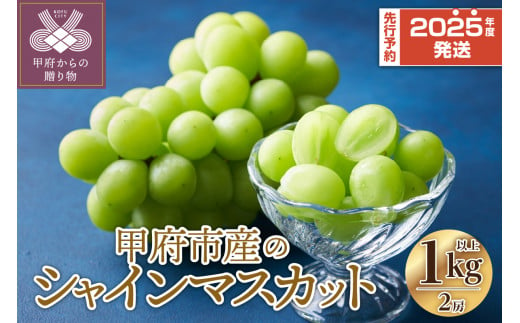 〈総合1位獲得!!〉【先行予約・数量限定】〈2025年度配送分〉甲府市産 シャインマスカット 2房（1.0kg以上）シャインマスカット 山梨 県産  先行予約 2025年 ぶどう フルーツ 2房 冷蔵 生産量 日本一 甲府 市産 1kg以上 フルーツ王国山梨 2025年8月下旬