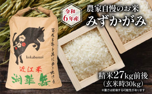 令和6年産 新米 農家自慢のお米 みずかがみ 精米 約27kg ( 2024年産 白米 お米 産地直送 農家直送 送料無料 滋賀県 竜王 ふるさと納税  ) - 滋賀県竜王町｜ふるさとチョイス - ふるさと納税サイト