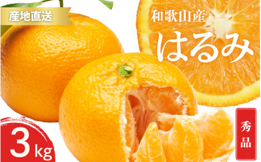 ya̎R{zys\zGi ͂ a̎R Lc S`2LTCY 傫C 3kgy1{`3{܂łɏ\z/ ݂ t[c ʕ   kyktn046z