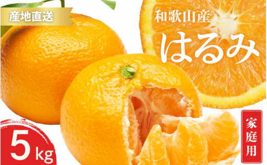 ya̎RkRzys\z󂠂 ƒp ͂ a̎R Lc S`3LTCY 傫C 5kgy1{`3{܂łɏ\z/ ݂ t[c ʕ   kyktn047z