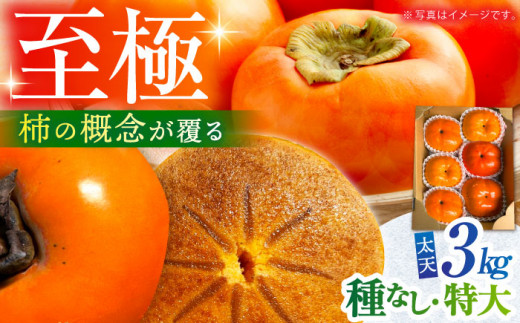 先行予約】【10月下旬〜12月上旬発送】種なし柿 太天・渋抜き柿 3kg
