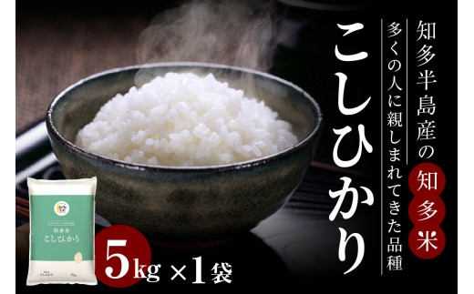 知多米 こしひかり 1袋(5kg) - 愛知県常滑市｜ふるさとチョイス - ふるさと納税サイト