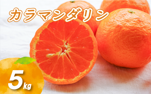 【愛媛県松山市】【2026年4月中旬より発送】カラマンダリン 5kg