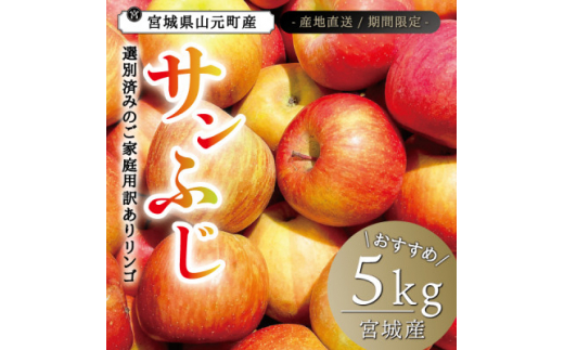 【宮城県】宮城県産  ご家庭用 サンふじ5kg(11〜20玉入り)生産者選別済みのリンゴ【1461381】