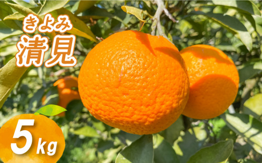 【愛媛県松山市】【2026年2月下旬より発送】低農薬栽培 清見 5kg