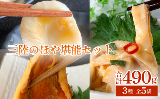 【宮城県石巻市】ほや堪能 3種セット 5袋入 ホヤ 詰め合せ 冷凍 ほや hoya 海鞘 小分け 刺身 むきほや 蒸しほや 味付 むき身 おつまみ 珍味 酒の肴 晩酌 海産物 海鮮 魚介 食べ比べ セット 送料