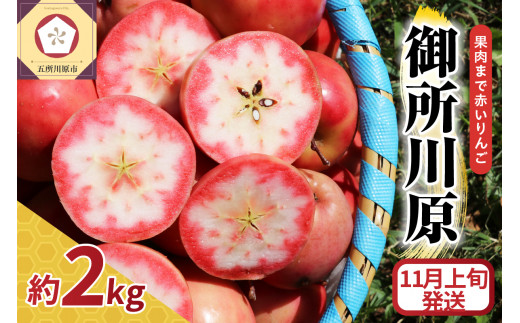 yX܏쌴szy `CX z ʓԂ 䏊쌴 ʂ 2kg 󂠂 y ܂Őԁ`  z s PA ь X S ܏쌴 X y11{