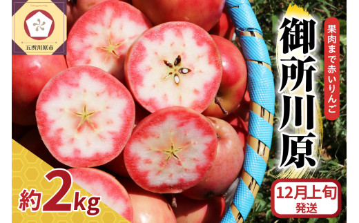 yX܏쌴szy `CX z ʓԂ 䏊쌴 ʂ 2kg 󂠂 y ܂Őԁ`  z s PA ь X S ܏쌴 X y12{