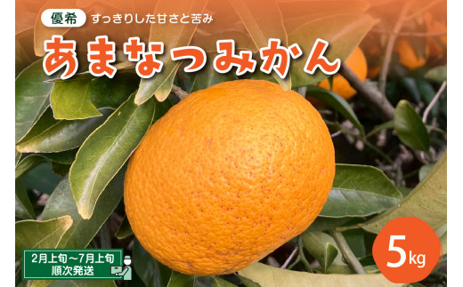 大崎下島産 栽培期間中農薬不使用 瀬戸内レモン 10kg 新鮮 発送日に収穫 国産 広島県産 檸檬 レモン生産量日本一の広島 フレッシュレモン 朝採れ  朝収穫 産地直送 送料無料 果物 フルーツ ジュース ビタミンC 料理 爽やか スイーツ カクテル - 広島県呉市｜ふるさと ...