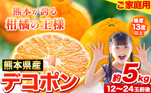 ラスト前 デコポン 熊本産 みかん 20kg 無くなると終了｜果物