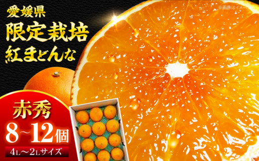 満腹まどんな 8キロ×2   愛媛県宇和島産 pd_cf0a40bd1f6a033edbe13a96da7
