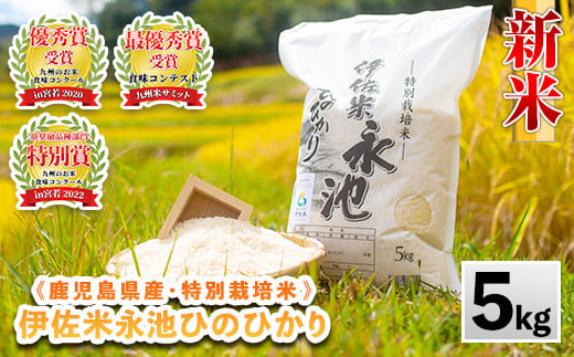 A4-06 令和6年産 新米 特別栽培米 永池ひのひかり(計10kg・5kg×2袋) ふるさと納税 伊佐市 特産品 鹿児島 永池 お米 米 白米 精米  伊佐米 九州米サミット 食味コンテスト 最優秀賞受賞 ヒノヒカリ【エコファーム永池】 - 鹿児島県伊佐市｜ふるさとチョイス -