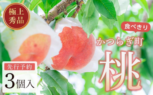 ya̎R쒬z ɏGi Hׂ₷3ms\nm2026N78n_ƌIImKG18n