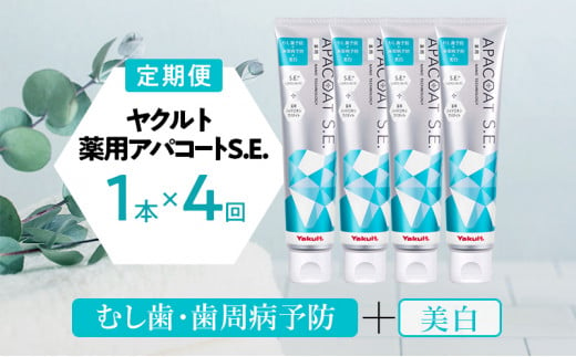 定期便 4回 隔月】ヤクルト 薬用アパコートS.E. 歯磨き 歯磨き粉 薬用歯磨き粉 アパコート S.E. 予防 口臭 歯肉炎 歯槽膿漏 虫歯 歯  再石灰化 デンタルケア 歯みがき はみがき - 神奈川県藤沢市｜ふるさとチョイス - ふるさと納税サイト