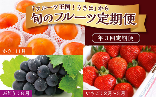 年3回定期便】「フルーツ王国！うきは」から 旬のフルーツ定期便 - 福岡県うきは市｜ふるさとチョイス - ふるさと納税サイト