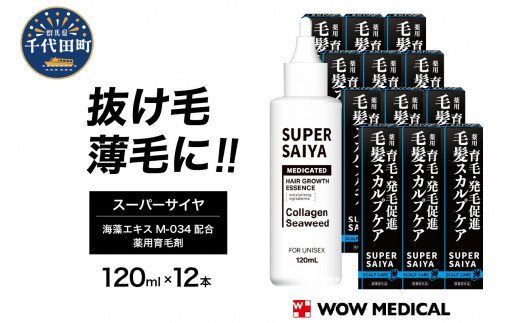 yQnczX[p[TC p э 120ml×12{ jp p  у[V уgjbN  XJv j  ёi {  