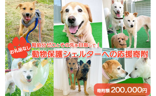 y茧ВzyiȂzE[Ƃ̐ڎwāI@یVF^[ւ̉񕍁@200,000~
