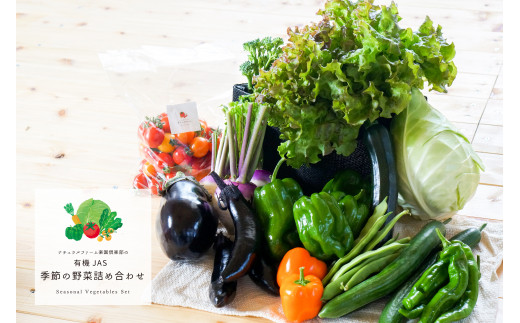 【北海道北広島市】【有機JAS認定】【6ヶ月隔月定期便】 季節の野菜詰め合わせ 〜有機野菜セットA〜 10種類〜12種類 季節 野菜 野菜セット 有機野菜 有機 詰め合わせ セット