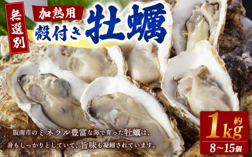 無選別】加熱用 殻付き牡蠣 約1kg（8～15個）【2025年1月下旬～2025年3月下旬発送予定】｜ 牡蠣 かき カキ 生ガキ 生牡蠣 加熱用  調理用 - 大阪府阪南市｜ふるさとチョイス - ふるさと納税サイト