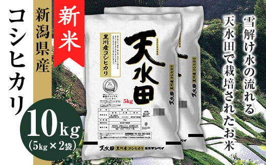 27-101新潟県黒川産コシヒカリ10kg（5kg×2袋）【天水田】 - 新潟県胎内市｜ふるさとチョイス - ふるさと納税サイト