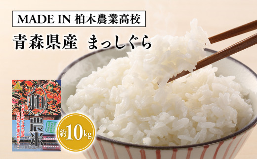 青森県産 まっしぐら Aランク 20kg 新米 令和6年度産 精米5月