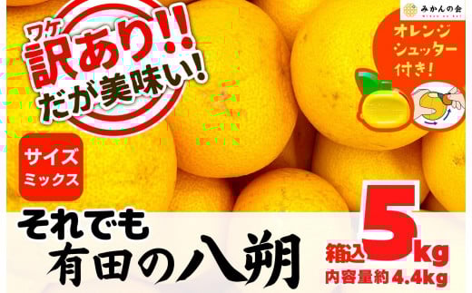 ya̎RLc쒬z 󂠂 ł Lc̔  (͂)  5kg (eʖ 4.4kg) TCY~bNX Bi a̎RY  Ynm܂tnm݂̉n