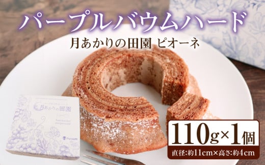 【愛知県西尾市】パープルバウムハード 月あかりの田園 ピオーネ・K286