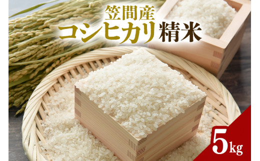 【茨城県笠間市】令和7年度 笠間産 コシヒカリ 5kg 精米 米 白米 新米 茨城県