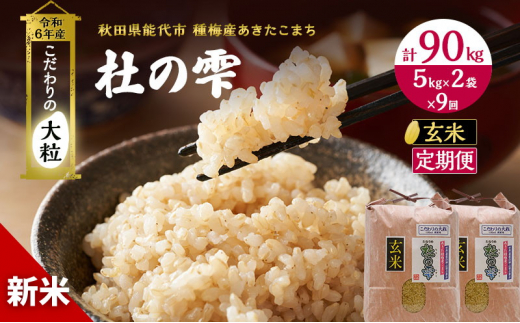 ふるさと納税 秋田県産おばこの匠あきたこまち　5kg （5kg×1袋）玄米 秋田県大仙市 ふるさと納税無洗米\u203bR７\u203b《定期便12ヶ月》秋田県産