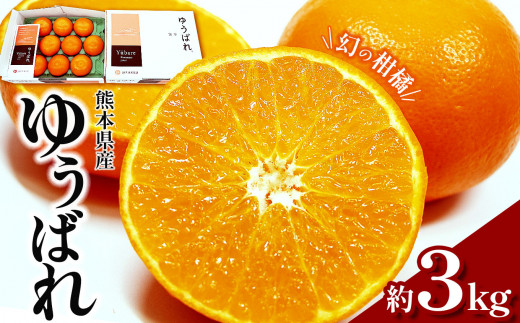 楽天市場】【かんきつの王様】せとか とろける食感 愛知県蒲郡市
