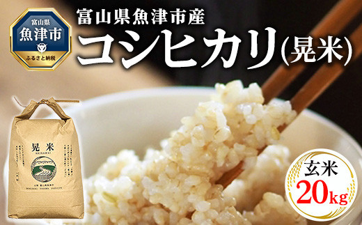 ヤマトライス 【祝!特A】富山県産 コシヒカリ 無洗米 10kg お米