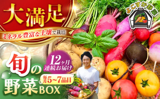 全12回定期便】すずなり採れたて野菜BOX（5～7品目）野菜セット 