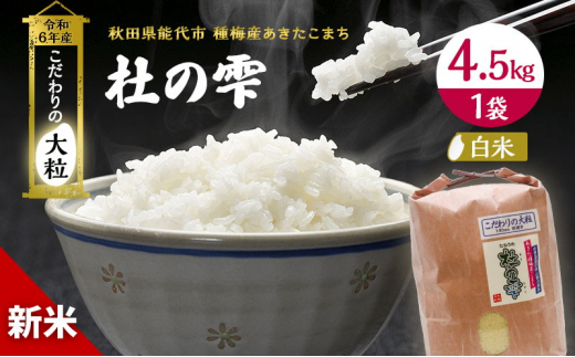 新米 米 お米 【精米】秋田県産 あきたこまち 4.5kg×1袋 あきた