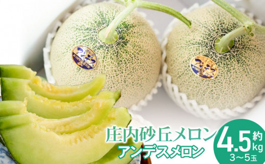 庄内砂丘特産　アンデスメロン　3L4個　贈答用 楽天市場】山形庄内砂丘メロン ワケあり品3〜4個入（青のみ