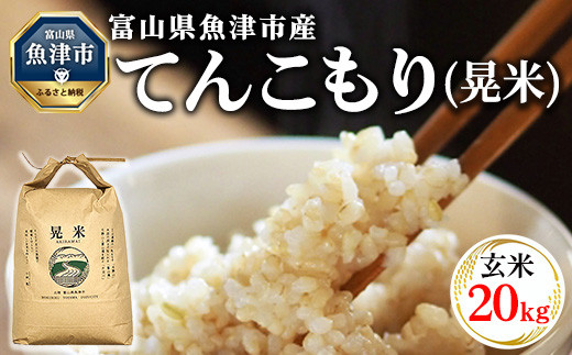 令和6年度米】環境配慮「魚津のてんこもり（晃米）」20kg（玄米 