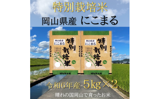 Cz-6 【お米 特別栽培米】岡山県産「にこまる」10kg（令和6年産