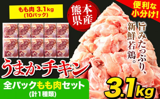 LaQ ラキュー 大量 1kg ふさわしかっ 1.2kg