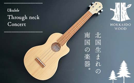 サイレント・エレキウクレレ eleComCon 楽器 弦楽器 音楽 演奏 HOKKAIDO WOOD F6S-205 - 北海道｜ふるさとチョイス -  ふるさと納税サイト