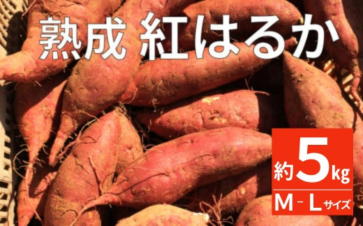 熟成 紅はるか 5kg M-Lサイズ さつまいも いも 低温熟成 完全熟成収穫