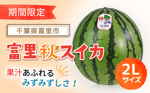 まもなく受付終了】【期間限定】富里秋スイカ 2L 1玉 / すいか