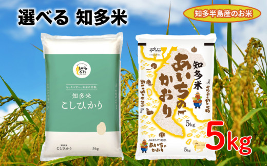 知多米 選べる こしひかり あいちのかおり 5kg 米 コシヒカリ 愛知 知多 特産品 南知多 - 愛知県南知多町｜ふるさとチョイス -  ふるさと納税サイト