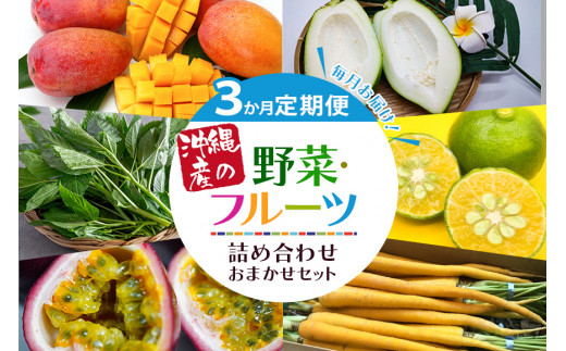 沖縄食材図鑑 令和5年度改訂版 (発売日2023年02月01日) | 雑誌
