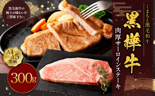 【熊本県上天草市】黒樺牛 肉厚サーロインステーキ 約300g お肉 肉 牛肉 ブランド黒毛和牛 和牛 黒毛和牛 ブランド牛 サーロイン ステーキ ロースステーキ 冷凍 国産 九州産 冷凍
