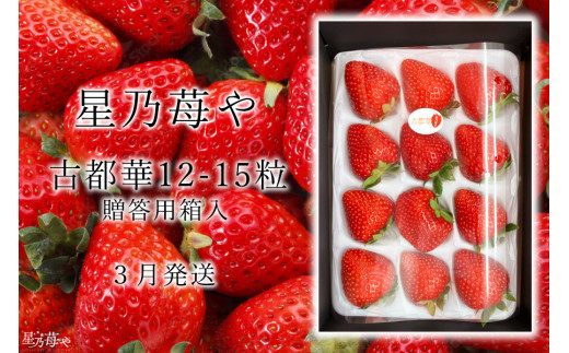 ふるさと納税 春いちご 古都華 約300g×4パック 合計約1200g