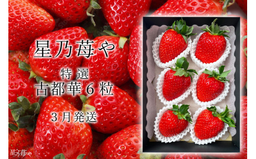 先行予約 特選大粒いちご 奈良県のいちご古都華1パック 2026年3月発送