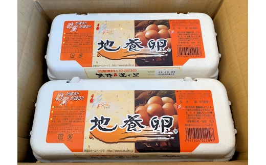 地養卵20個セット〈10個×2パック〉たまごかけごはんにおすすめの卵