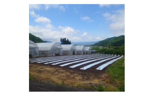 y쌧RztbVn[űlߍ킹Mtgy1510560z